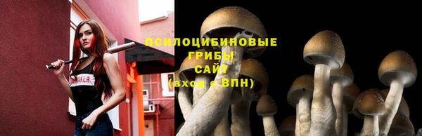 MDMA Premium VHQ Верхний Тагил