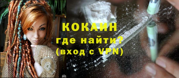 хмурый Тайга