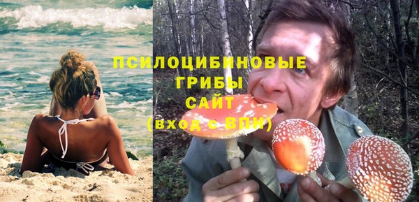 стафф Верея