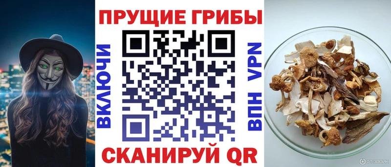 Псилоцибиновые грибы MAGIC MUSHROOMS  Верея 